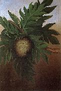 Hawaiian Breadfruit, oil on canvas painting by Persis Goodale Thurston Taylor, c. 1890 unknow artist